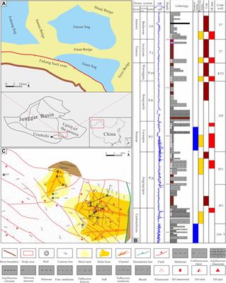 Formation mechanism and implication of analcime in the sandstone reservoirs of the Permian Jingjingzigou formation in the Jinan sag, southern Junggar basin, NW China